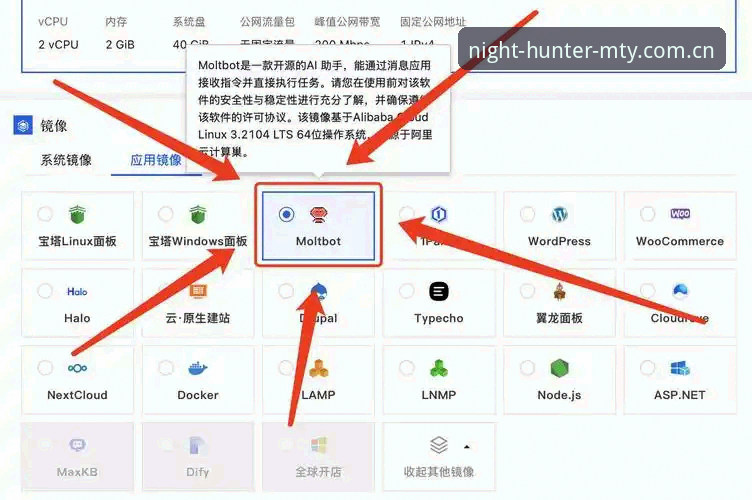 猫头鹰体育平台实用指南：MTY体育官网下载与安装的必备知识